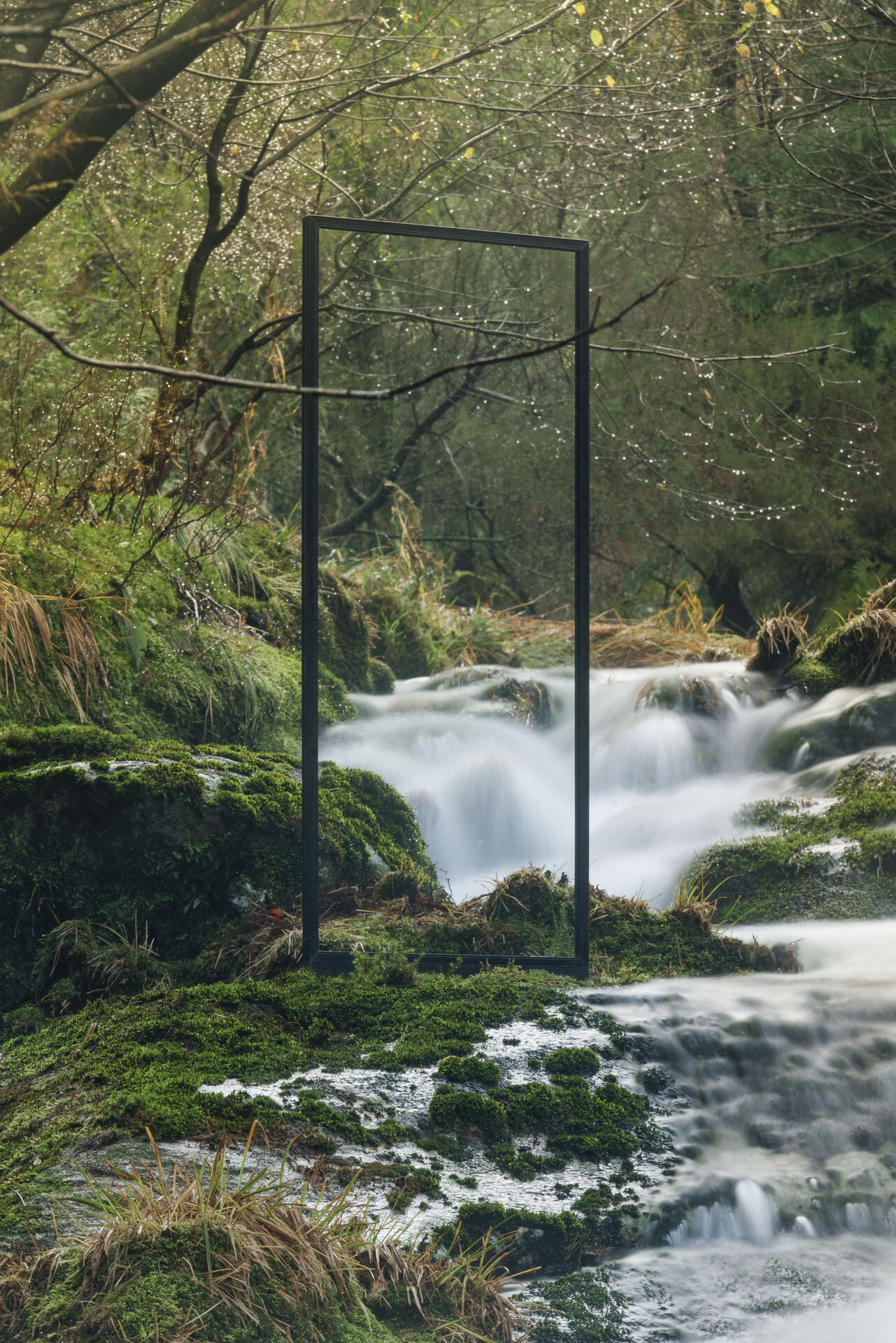 חלונות LYRICAL עיצוב פנים